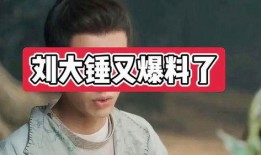 刘大锤最新爆料回归,神秘人物即将回归，娱乐圈风云再起！