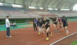 体育会系在线观看