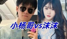 三只羊沫沫最新爆料,揭秘娱乐圈幕后真相